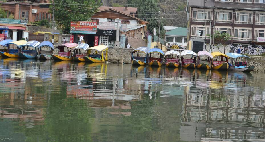 New Trambak Houseboat, Srinagar 5